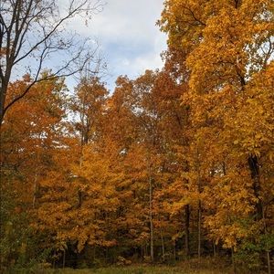 Meet your Posher, Gabriel